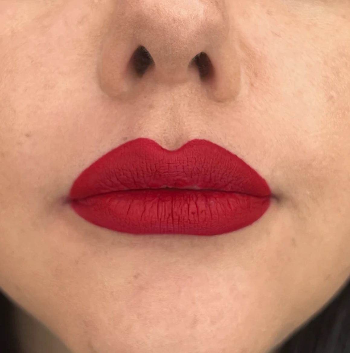 Layla Cosmetics - Contorno Labbra Lip Liner